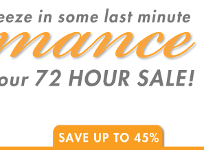 72 - Hour Sale
